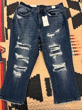 Judy Blue Skinny Fit Capri